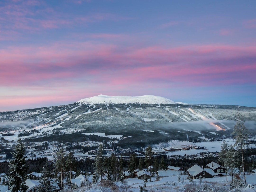 12314545_10153804455652094_2226213470492678715_o 12314545_10153804455652094_2226213470492678715_o