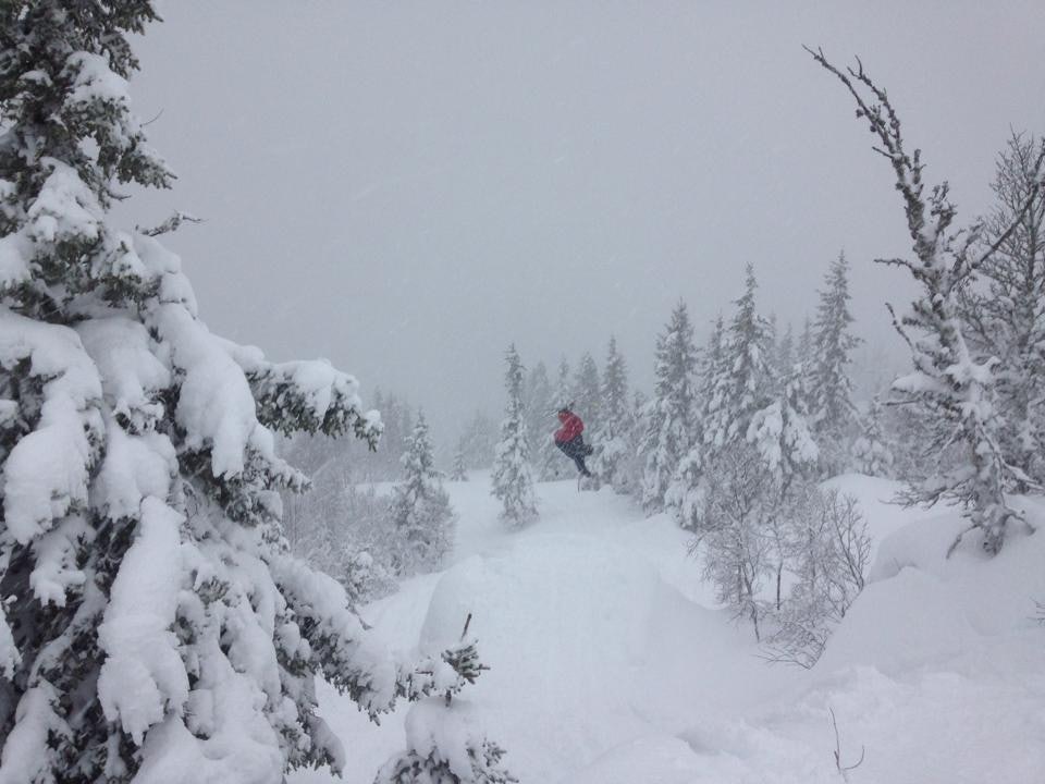 10850497_10154936176270344_1186971753_n 10850497_10154936176270344_1186971753_n