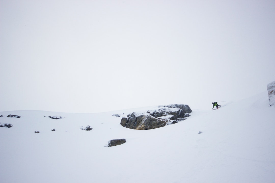 _MG_0342111111 _MG_0342111111