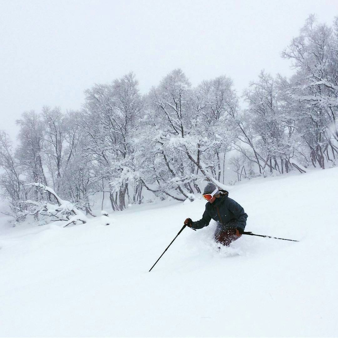 14753311_10153992800851361_5882251550689356908_o 14753311_10153992800851361_5882251550689356908_o