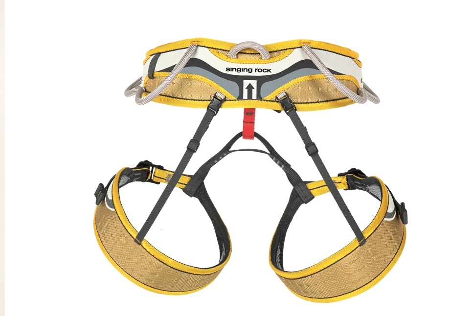 WEB_Image -46183261 WEB_Image -46183261