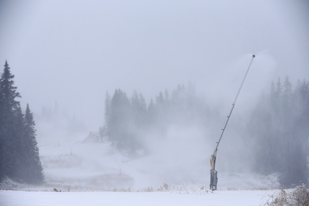 151116-first-snow-(8) 151116-first-snow-(8)