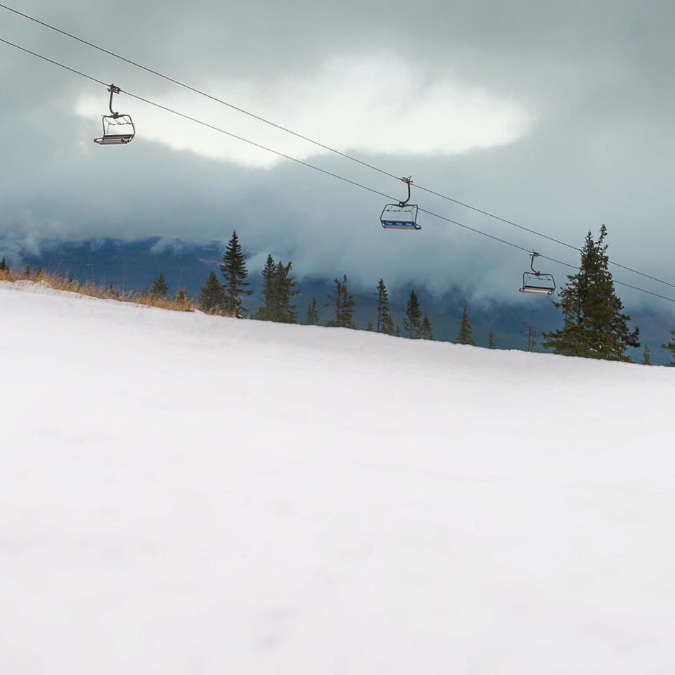 12193456_10153773327712094_3100773415269011614_n 12193456_10153773327712094_3100773415269011614_n