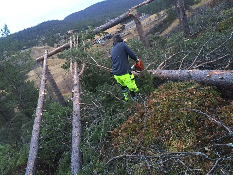 12212263_10153048572085728_1611640301_n 12212263_10153048572085728_1611640301_n