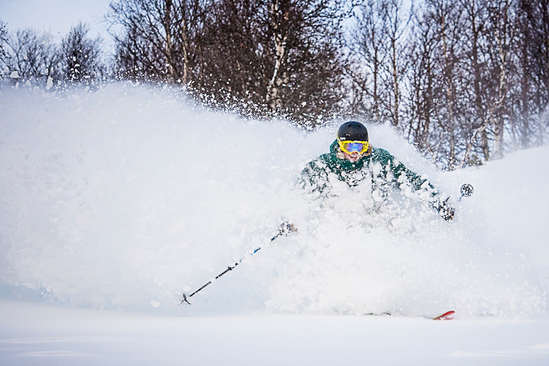 oyvind-karlsen oyvind-karlsen