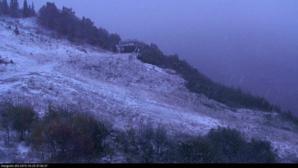 12066016_10153314063638237_6696461243972199659_n 12066016_10153314063638237_6696461243972199659_n