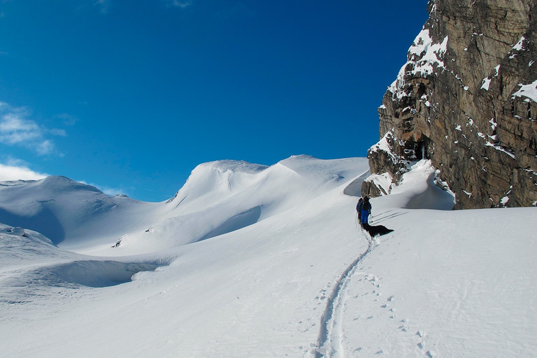 wholy-grale wholy-grale