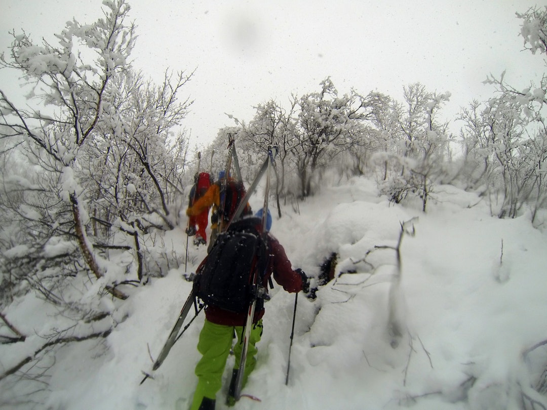 2_mandag-morgen 2_mandag-morgen