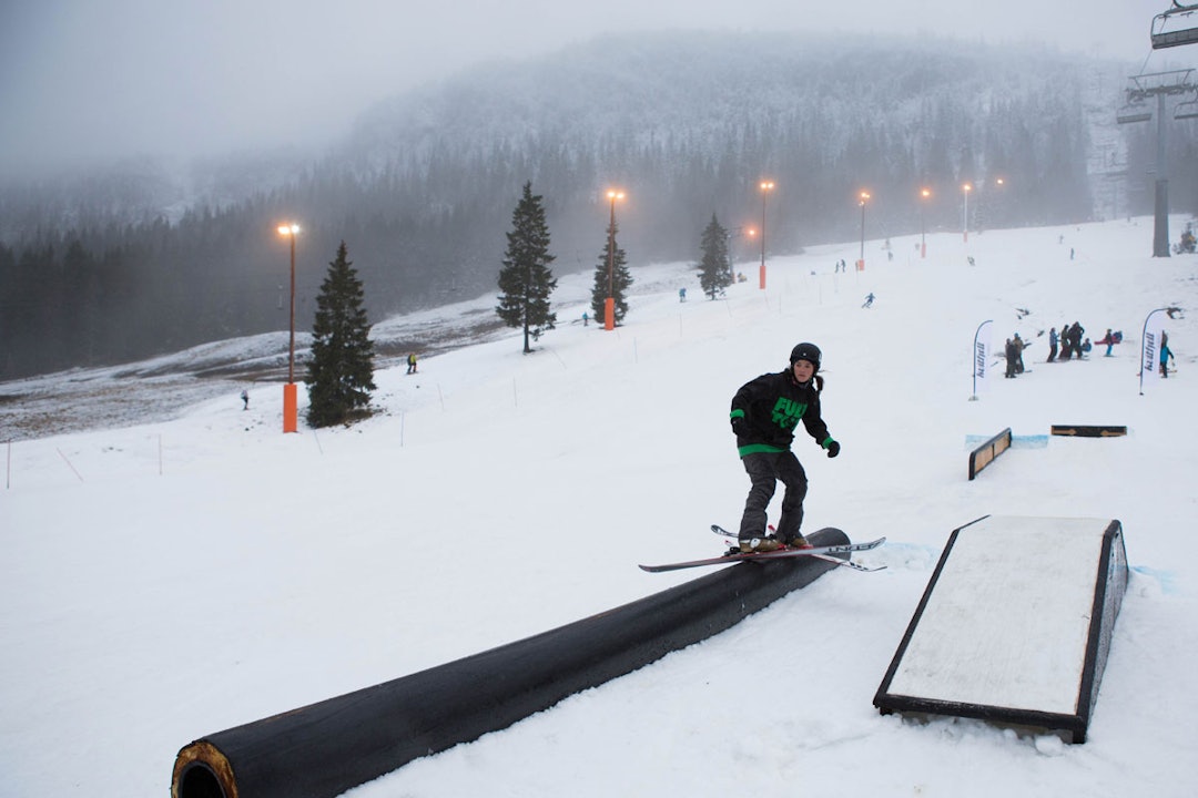 4_TMM_6575 4_TMM_6575