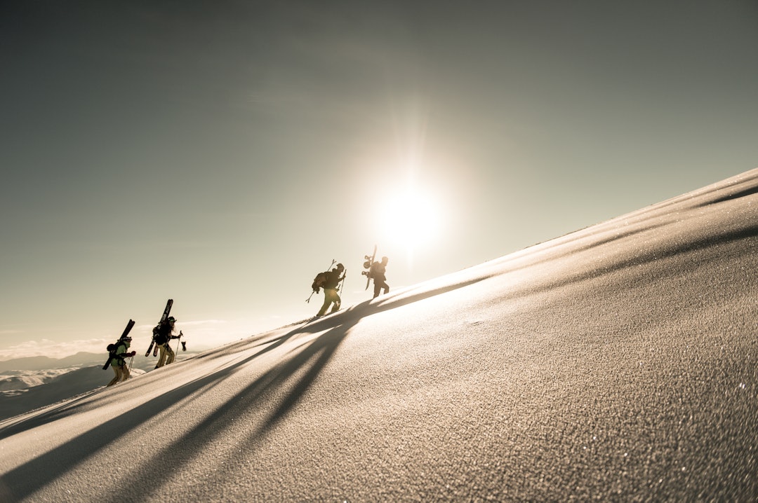 MYRKDALEN-25147 MYRKDALEN-25147
