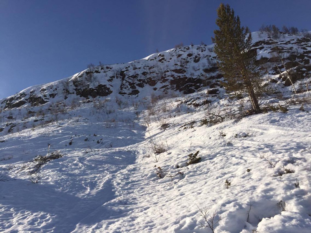 12809973_10153268339410728_1942916246_o 12809973_10153268339410728_1942916246_o