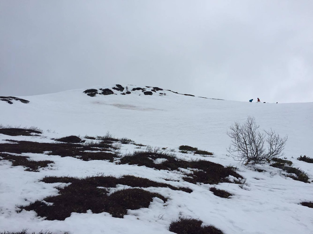 12874376_10153329721462041_1918388064_o 12874376_10153329721462041_1918388064_o