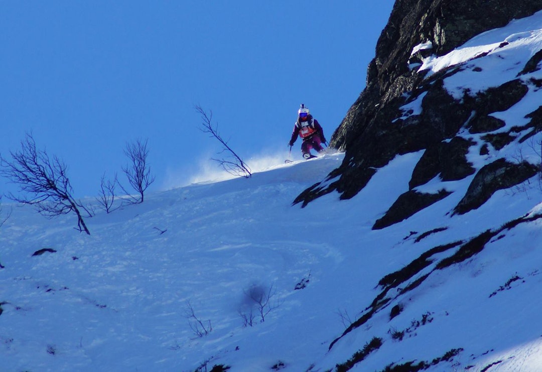 12829342_10208312917732259_2886855329278841625_o 12829342_10208312917732259_2886855329278841625_o