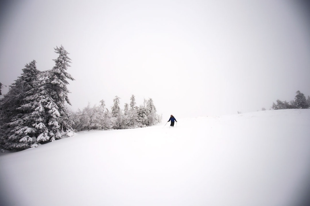 141023-Kvitfjell-Hogst-og-pudder-(10) 141023-Kvitfjell-Hogst-og-pudder-(10)