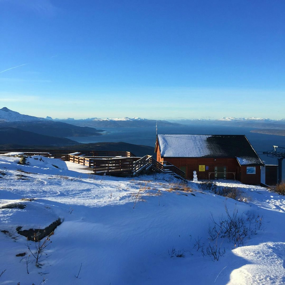 narvik narvik