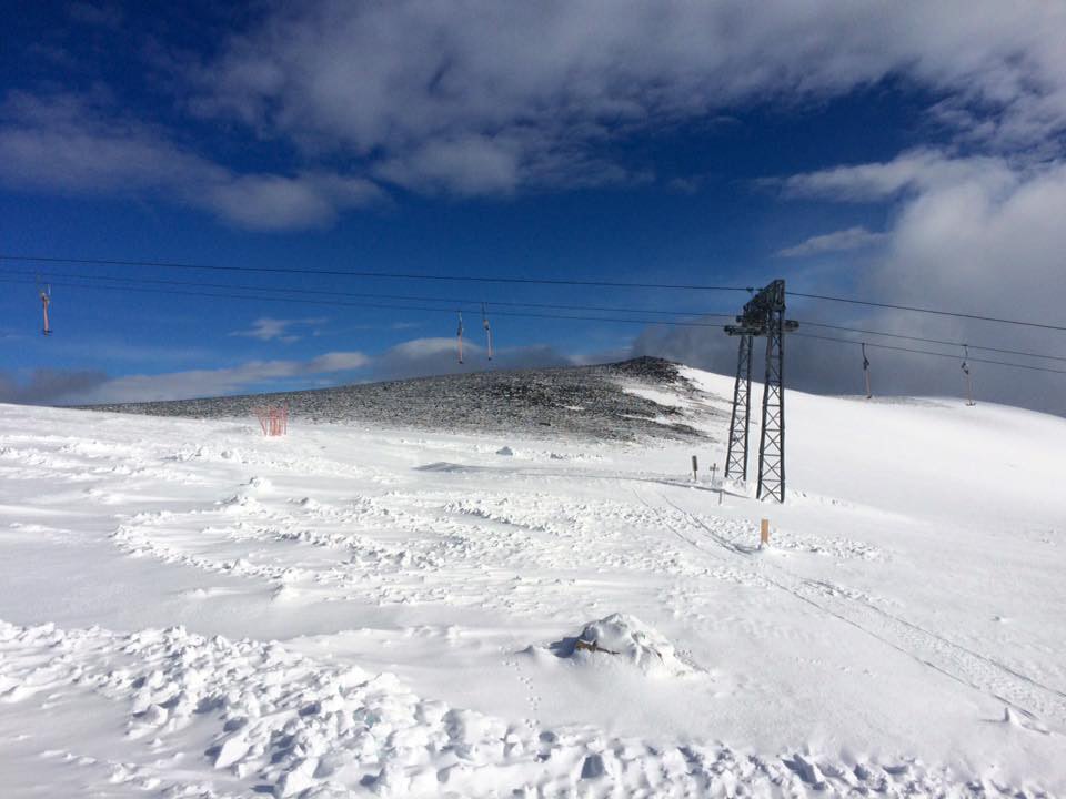 piggen-1.-juli piggen-1.-juli