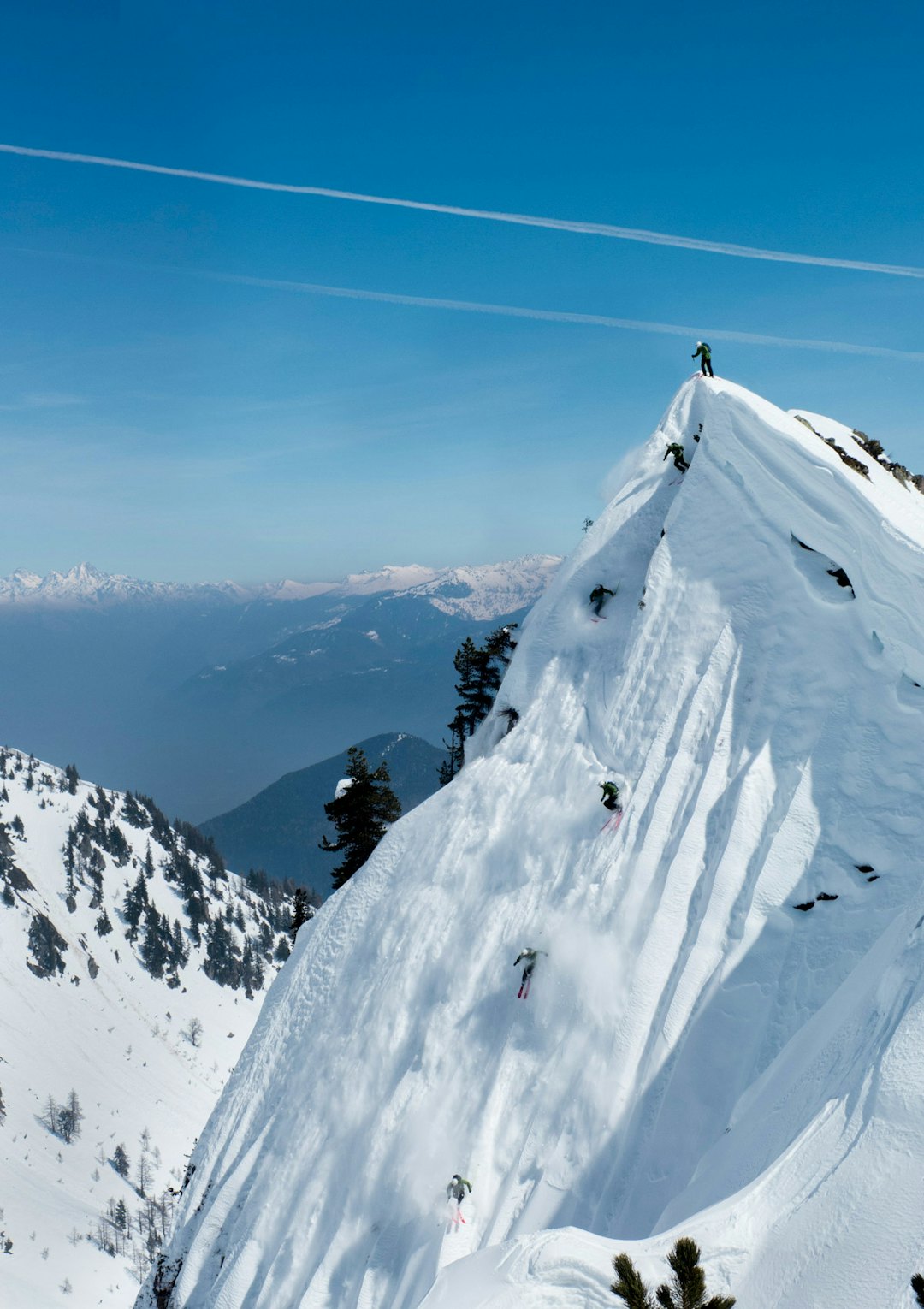 bel morphed (1 of 1) bel morphed (1 of 1)