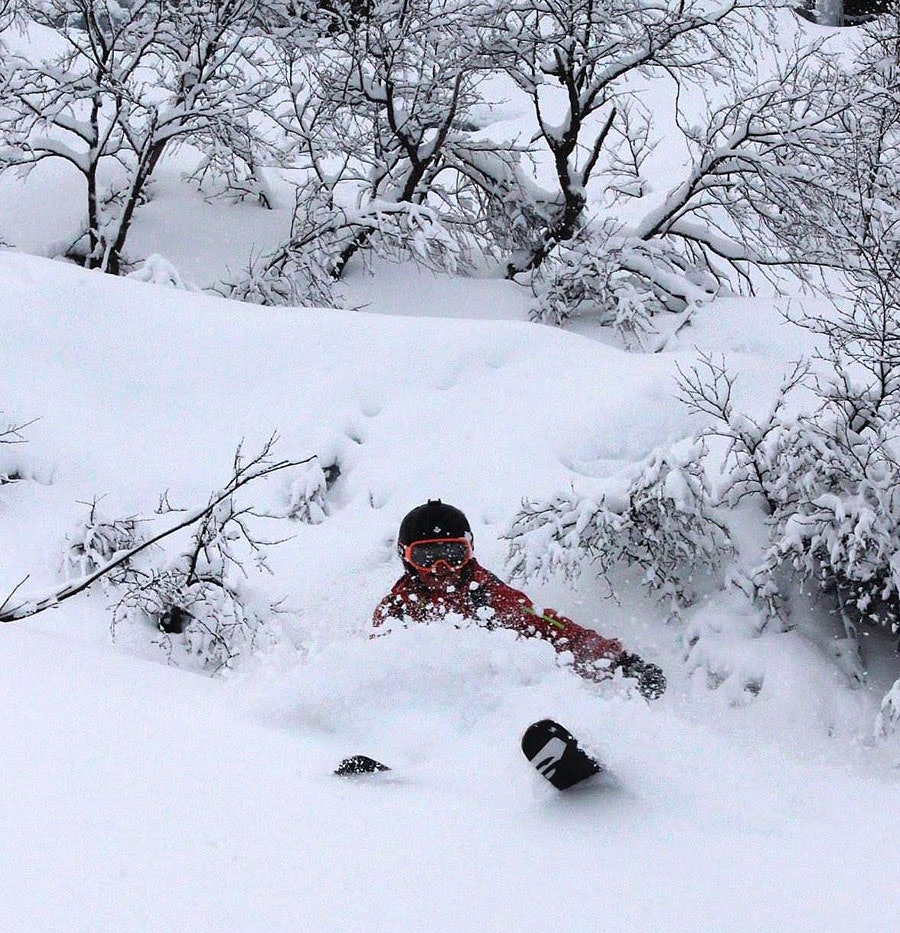 1529835_10152107129346153_187208606_o 1529835_10152107129346153_187208606_o