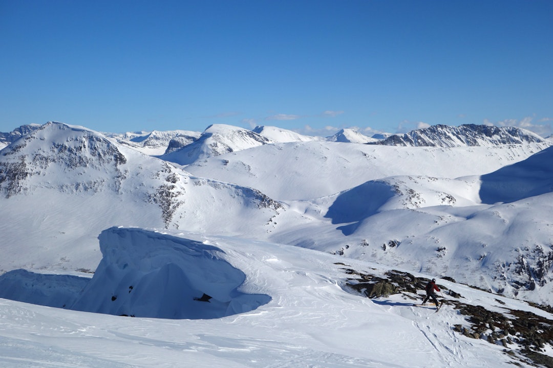 Unngaa-de-livsfarlige-skavlene_ordinary_1200 Unngaa-de-livsfarlige-skavlene_ordinary_1200