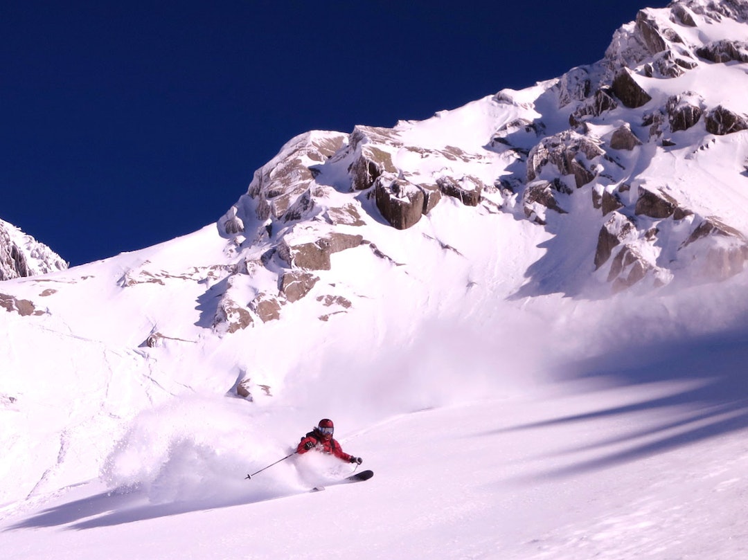 foto sam cox foto sam cox