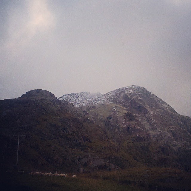 10643783_448501558626068_2130355005_n 10643783_448501558626068_2130355005_n