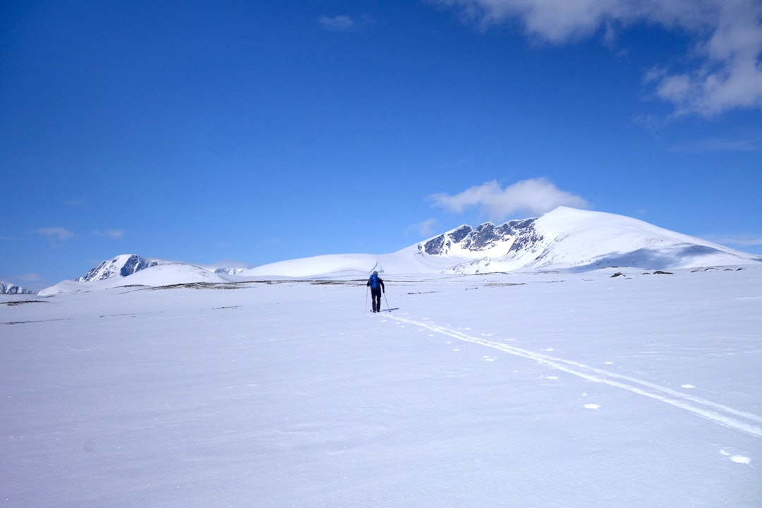 På vei mot Snøhetta fra Grønbakken. I bildet vises Stortoppen (til høyre) og Vesttoppen på Snøhetta, sammen med Storstygge Svånåtinden (til venstre). Foto: Erlend Sande skitur Snøhetta Dovrefjell