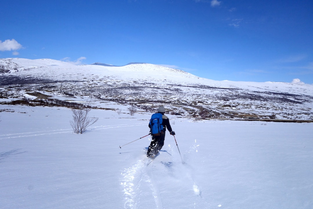 Turen tilbake til E6 er slak, men det er mulig å få noen fine svinger det siste stykket mot Grønbakken. telemarkssving Snøhetta dovrefjell