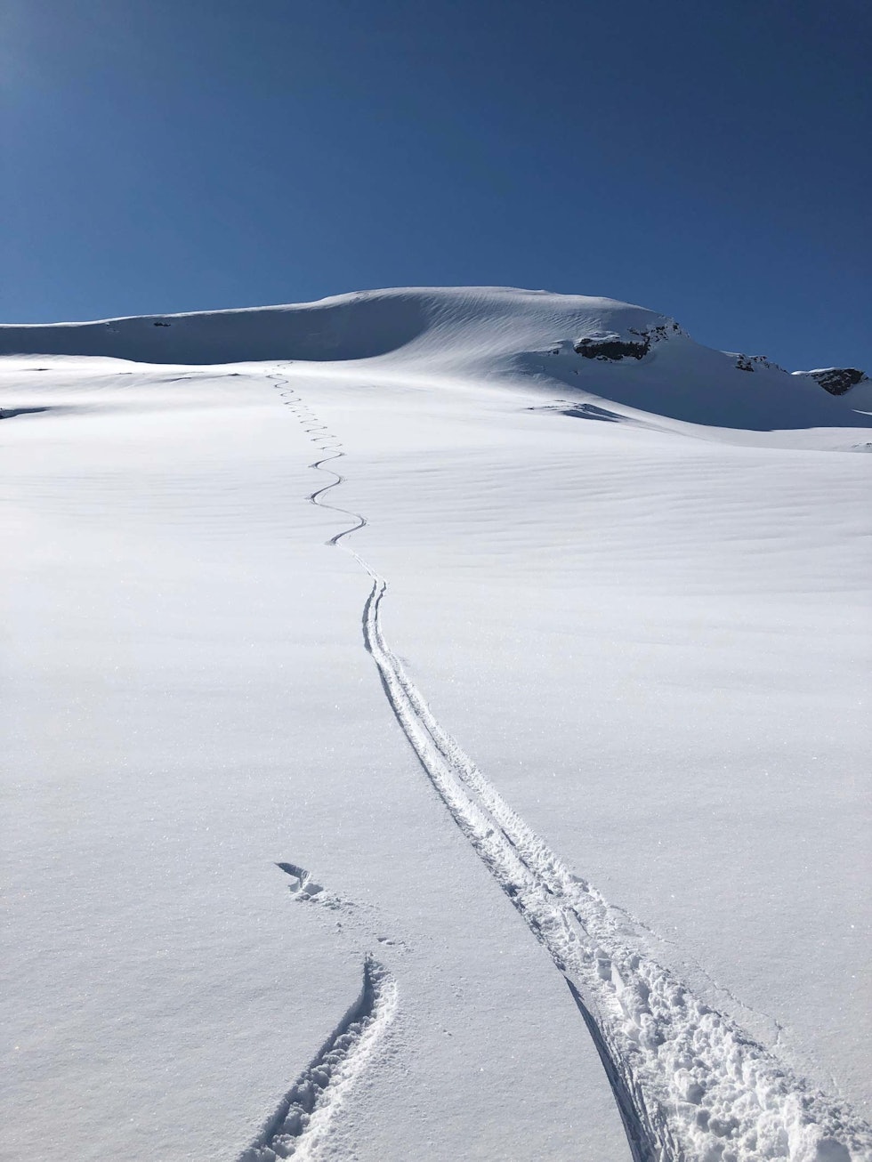Øverste delen mot Skittendalstindens østside gir deg flott kjøring på dager med stabil og fin snø. Skittendalstinden-Evenes-Skånland-2