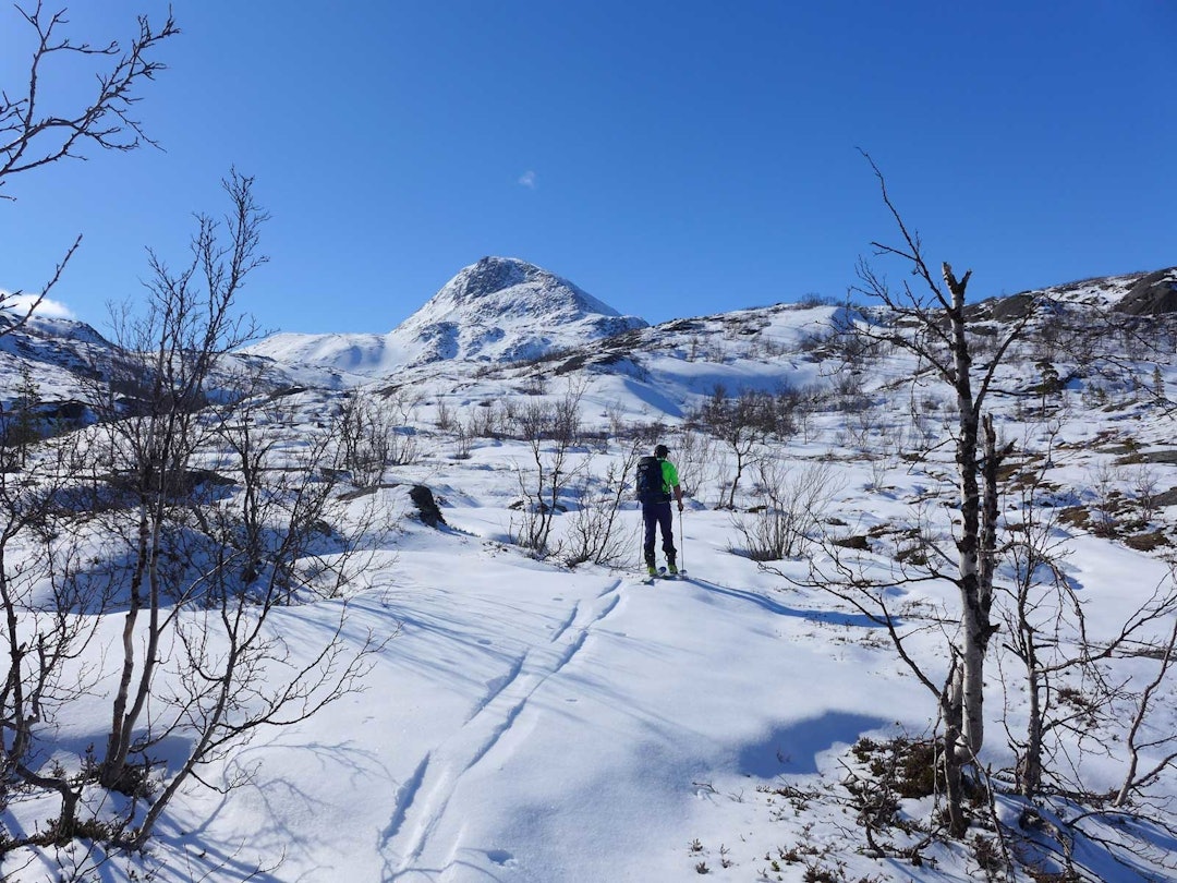 Foto: Georg Sichelschmidt Storsteet-Lyngenfjord-2