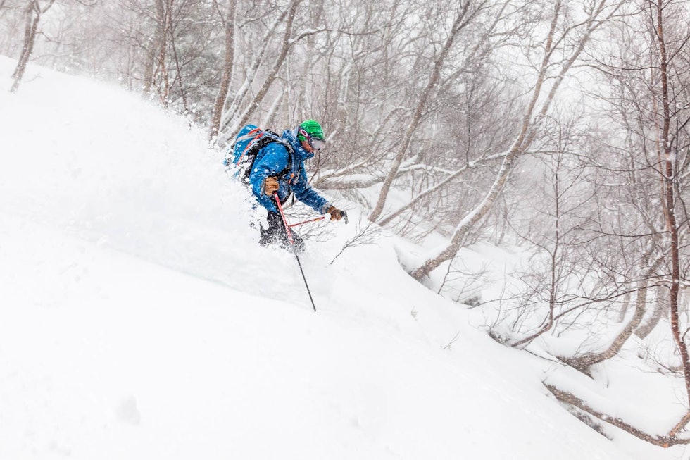 På dager med mye snø eller snøvær kan det være fint å gå runder i skogen mot Litlehesten. Foto: Einar Engdal Litlehesten-Toppturer-i-Romsdalen-2