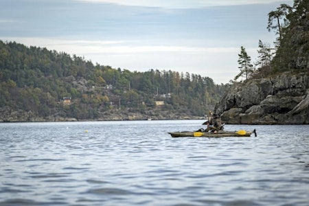 sjøfugljakt, jakttidshøringen, status på sjøfugljakt