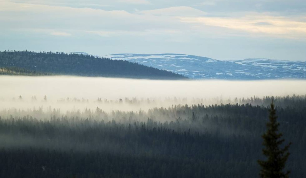 Når skodda siger på: GPS er kjekt å ha, men hva hvis den går tom for strøm? Å vite hva som er nord og sør er viktig når skodda kommer navigere, lese naturen, kart og kompass, finne fram