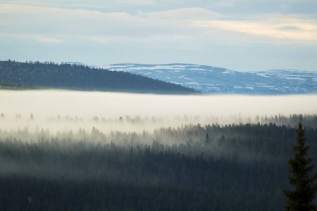 Når skodda siger på: GPS er kjekt å ha, men hva hvis den går tom for strøm? Å vite hva som er nord og sør er viktig når skodda kommer navigere, lese naturen, kart og kompass, finne fram