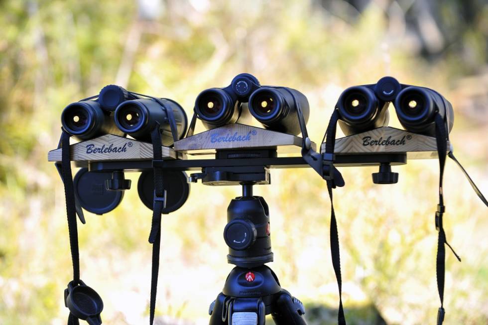 jaktkikkert tre kikkerter håndhold test