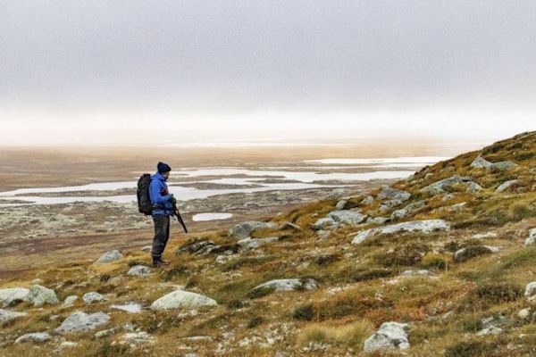 Mektig imponerte nordinger: Johannes skuer utover ei tåkelagt Hardangervidda, med rypekratt så langt øyet kan se. rypejakt Hardangervidda, hvordan jakte rype