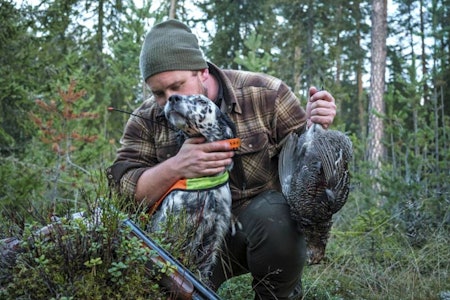 Skogsfuglens skrekk:  Vidar Nysæter og Emma er en dødelig duo når det står skogsfugl på menyen. Her får du Vidars råd for å lykkes. Jaktdressur fuglehund trene engelsk setter