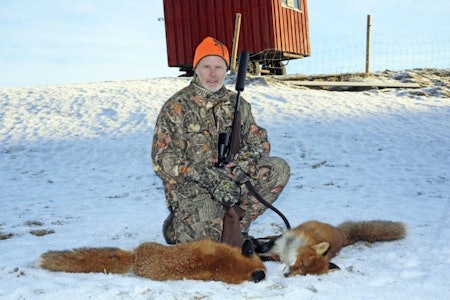 Velg rifle: Der forholdene tillater det av sikkerhetsmessige årsaker, gir ei godt innskutt rifle med lyddemper betydelig flere skuddsjanser enn ei hagle under revejakt. Hvordan jakte rev med åtejakt, lokkjakt og hund revejakt
