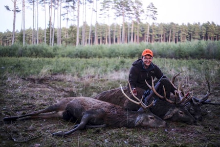 Action: Det kan fort bli mye action når du deltar på drivjakt i Polen. jaktreise Polen, jakte hjort i Polen, jakte villsvin i Polen, drivjakt, drivjakt Polen