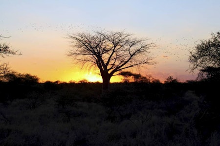 DRØMMEN: Det er slik de fleste av oss drømmer at solnedgangen i Afrika skal være.  Solnedgang jakt afrika