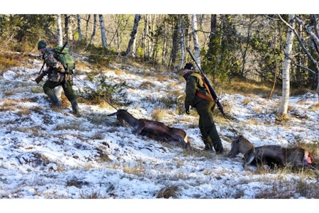 TUNGVINT: Vel, vi skulle jo nedover, men noen ganger må man faktisk opp for å komme ned…  TUNGVINT: Vel, vi skulle jo nedover, men noen ganger må man faktisk opp for å komme ned…