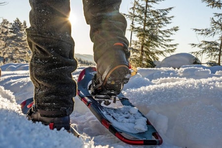 ATLAS TREELINE 25: Trugene er så breie at de gir god bæring i laus og kald nysnø og kommer godt ut i testen.. Test av trugen Atlas Treeline 25 i snøen