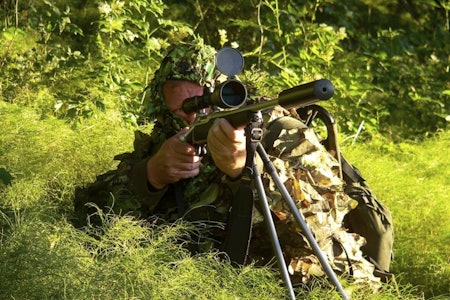 Sniper: Det er ikke bare Mikkel som kan gjøre seg usynlig i naturen. Revejakt, åtejakt, lokkejakt, revejakt med hund