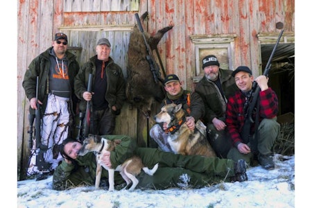 De utvalgte: (fra v): Rune Rambøl, Steinar Frorud, Sus Scrofa, Fredrik Peterson og Odin, Arne Winter og Erik Peterson. Foran Marit Briskodden og Tassen.  Villsvinjakt i Aremark, villsvin Østfold