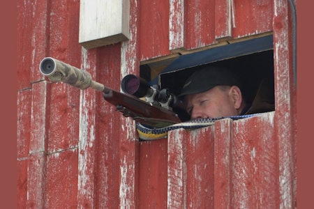 Det lille storviltet: Reven er en luring, og kan by på spennende jaktopplevelser. revejakt, tips og råd, hvordan jakte rev