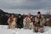 SAMARBEID: Jegere fra indre-og nedre Telemark har hatt et fruktbart samarbeid under årets gaupejakt. Fra venstre; Bjørn Nicolaysen med sin russiske støver Anna, Terje Fuglestveit, Knut Mostøyl og Hans Roar Moen med den amerikanske støveren Zito. Zito er felleseie mellom Knut og Hans Roar. SAMARBEID: Jegere fra indre-og nedre Telemark har hatt et fruktbart samarbeid under årets gaupejakt. Fra venstre; Bjørn Nicolaysen med sin russiske støver Anna, Terje Fuglestveit, Knut Mostøyl og Hans Roar Moen med den amerikanske støveren Zito. Zito er felleseie mellom Knut og Hans Roar.