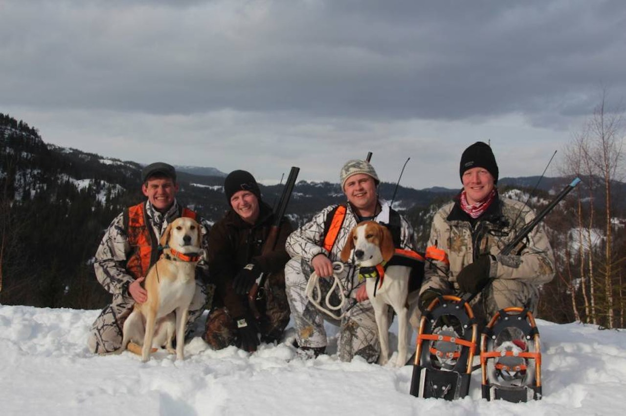 SAMARBEID: Jegere fra indre-og nedre Telemark har hatt et fruktbart samarbeid under årets gaupejakt. Fra venstre; Bjørn Nicolaysen med sin russiske støver Anna, Terje Fuglestveit, Knut Mostøyl og Hans Roar Moen med den amerikanske støveren Zito. Zito er felleseie mellom Knut og Hans Roar.