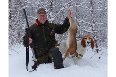 Tyskerhare: Her er jeger og hund fotografert med sin første sørhare. Men kan det være en hybrid? Den er levert til Naturhistorisk Museum for prøver. Harejakt Aremark schweizerstøver
