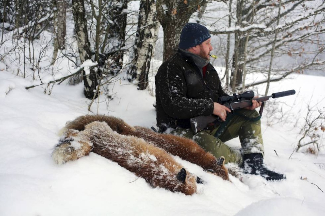 Rykende doublé: Sondre Evensen puster ut etter nettopp å ha skutt to fullpelsede vinterrever på lokk en tidlig februarkveld. lokkejakt på rev, revejakt, revelokk