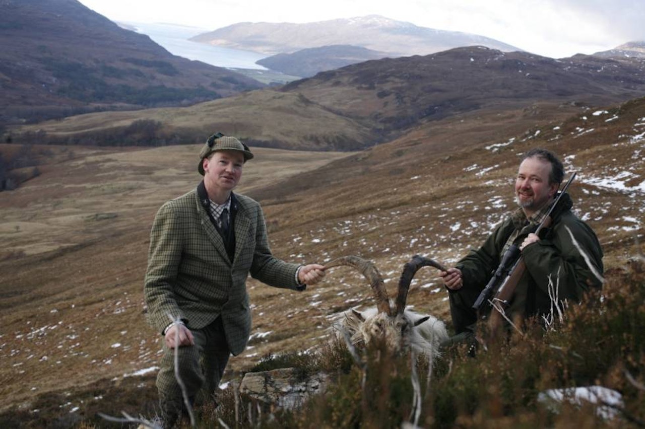 billygoat, jaktreise Skottland, jakte fjellgeit i Skottland