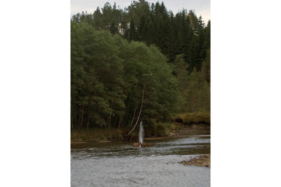 SKUDDET: Ei kule kaliber 9,3 slår gjennom bukken.